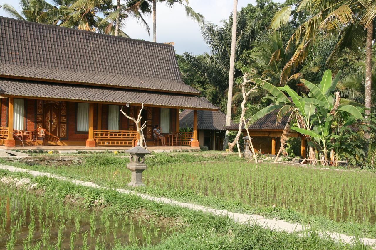 Mesari Hotel Ubud Ngoại thất bức ảnh